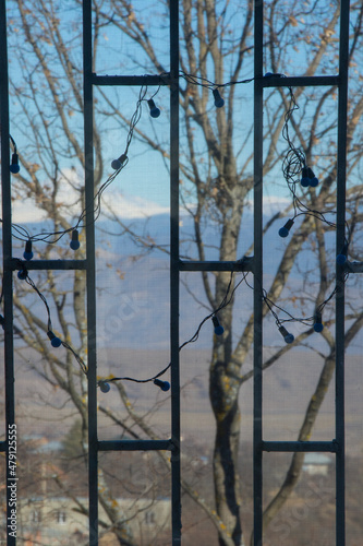 House window and tree in outdoor