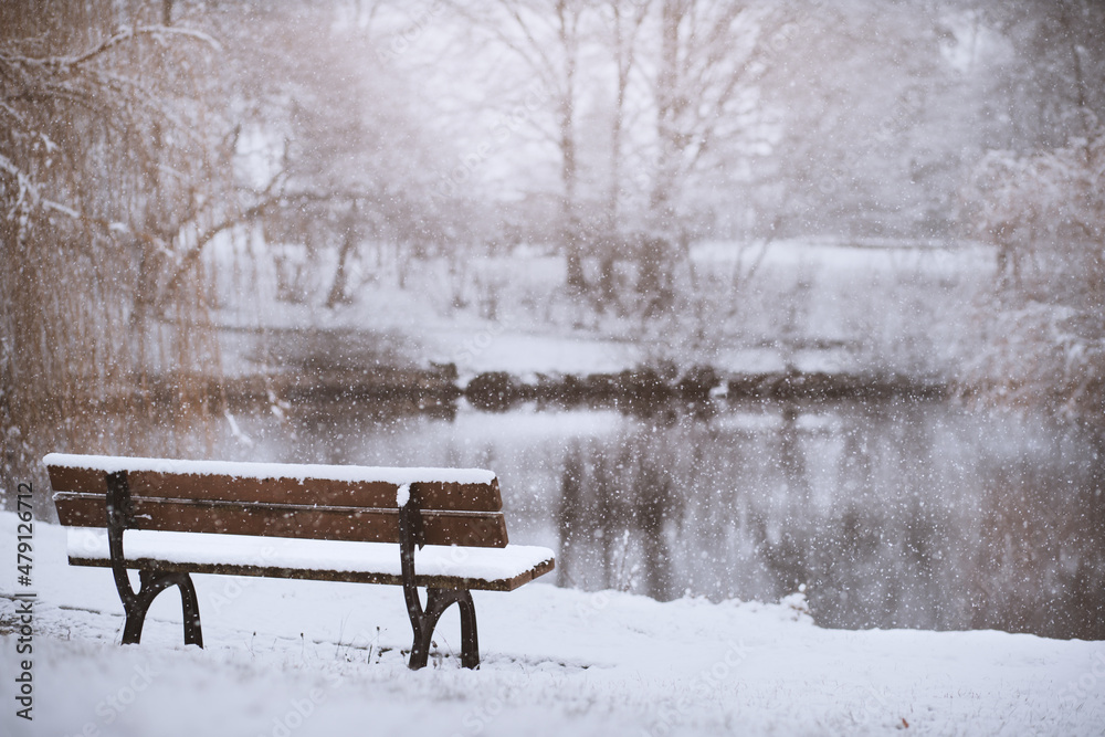 Snowy park bench on a frozen lake with trees in winter. Snowy landscape