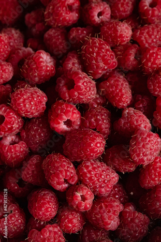 Raspberry berries close-up. Background of ripe red raspberries, close up