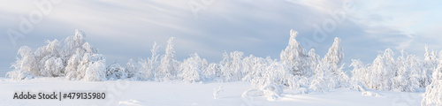 Absolutely white panoramic winter landscape with trees covered by frost in a very cold day