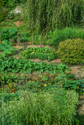 organic garden with vegetables and flowers