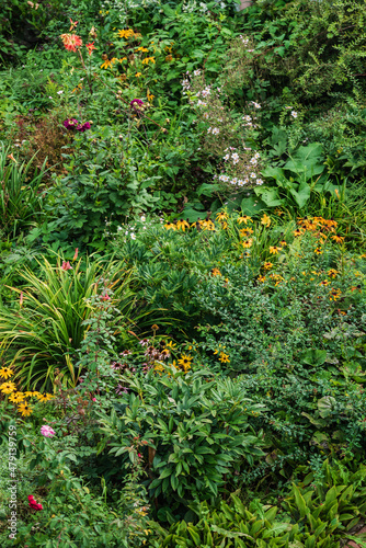 organic garden with vegetables and flowers