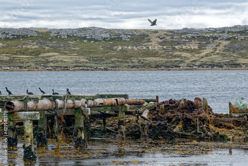 Port Stanley - Old harbour - Falkland Islands photo