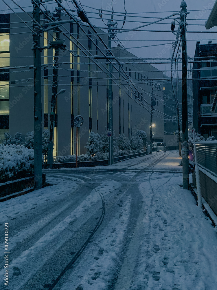 東京の大雪　住宅街
