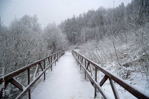 Pedestrian bridge at the bottom of a small ravine. © Sergey Rybin