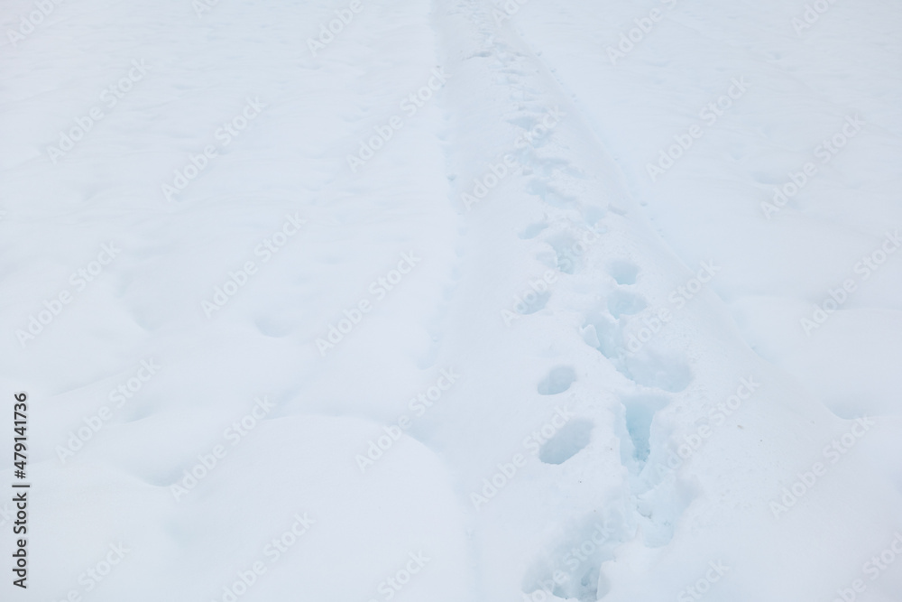 Winter snowfield, piles of footprints Winter snowfield, piles of footprints