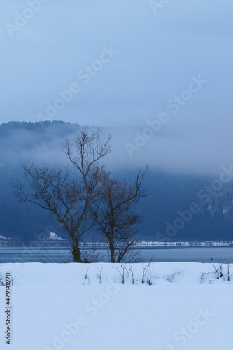 A view of an extremely cold lake covered with snow in the middle of winter. © 隼人 岩崎