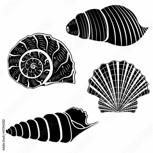 The set is an insulated seashell. Vector illustration, black stencil icon