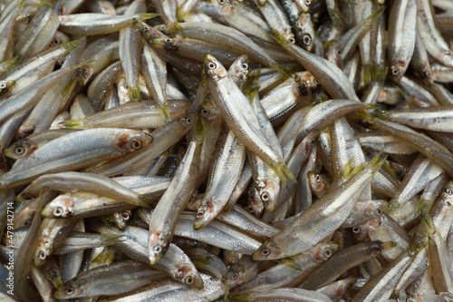 Small fresh raw whitebait fish on market stall 