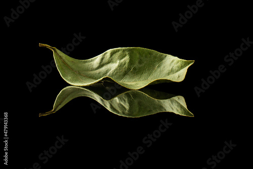 dried bay leaf on a black background