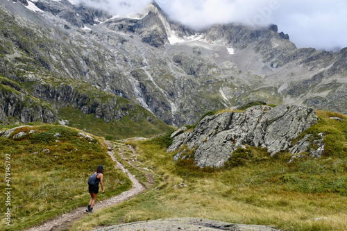 Fototapeta Naklejka Na Ścianę i Meble -  Alpes montagnes cimes enneigées
