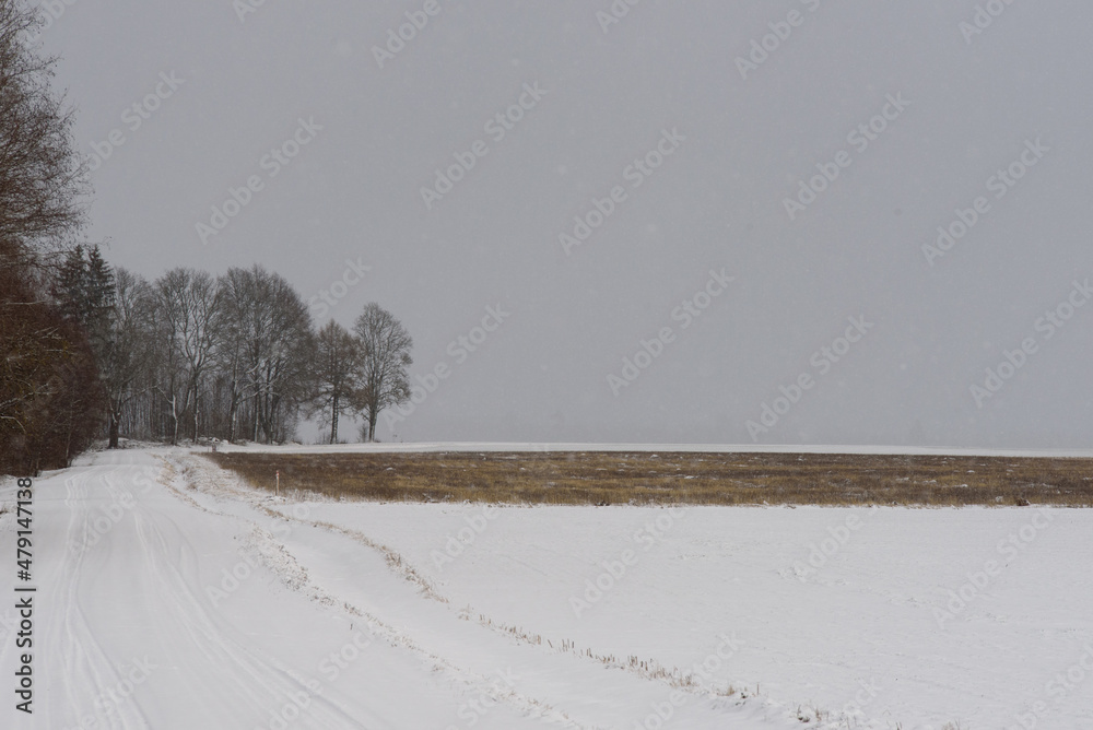 a beautiful country road that winds along the edge of the field in winter a beautiful country road that winds along the edge of the field in winter