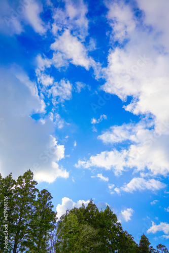 冬の青空