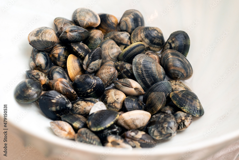 Mucchio di vongole veraci fresche, cibo mediterraneo Mucchio di vongole veraci fresche, cibo mediterraneo
