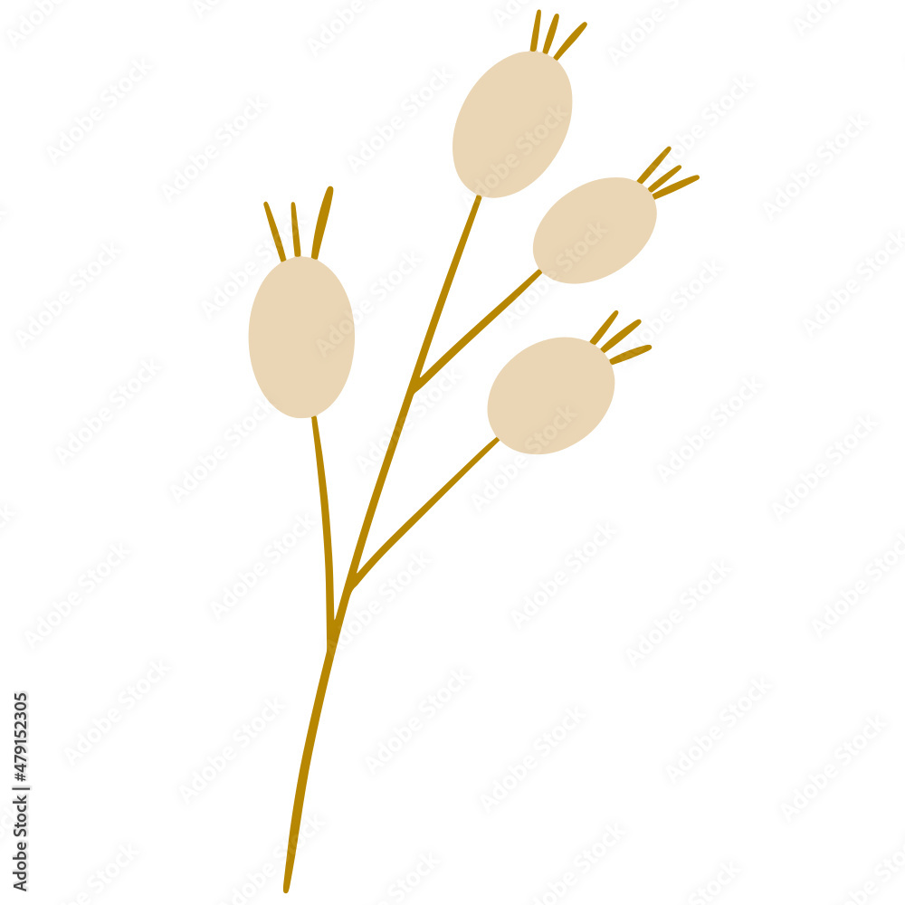 Flower vector, flower illustration, floral vector, botanical vector