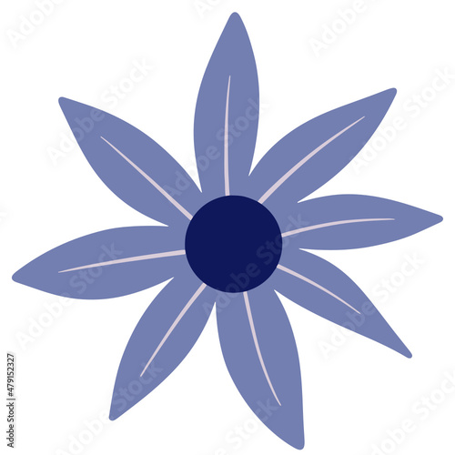 Flower vector, flower illustration, floral vector, botanical vector