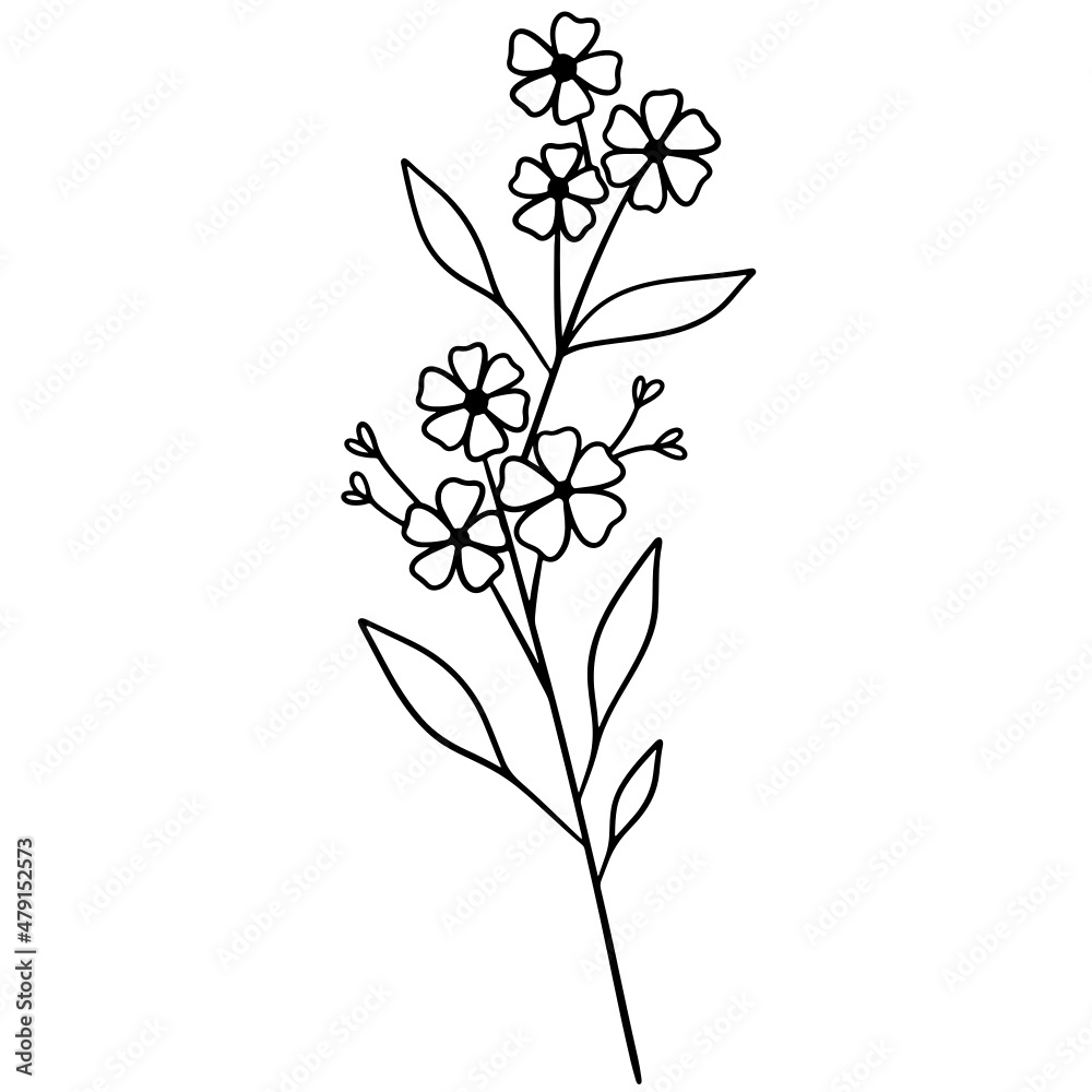 Flower vector, floral vector illustration, flower line art