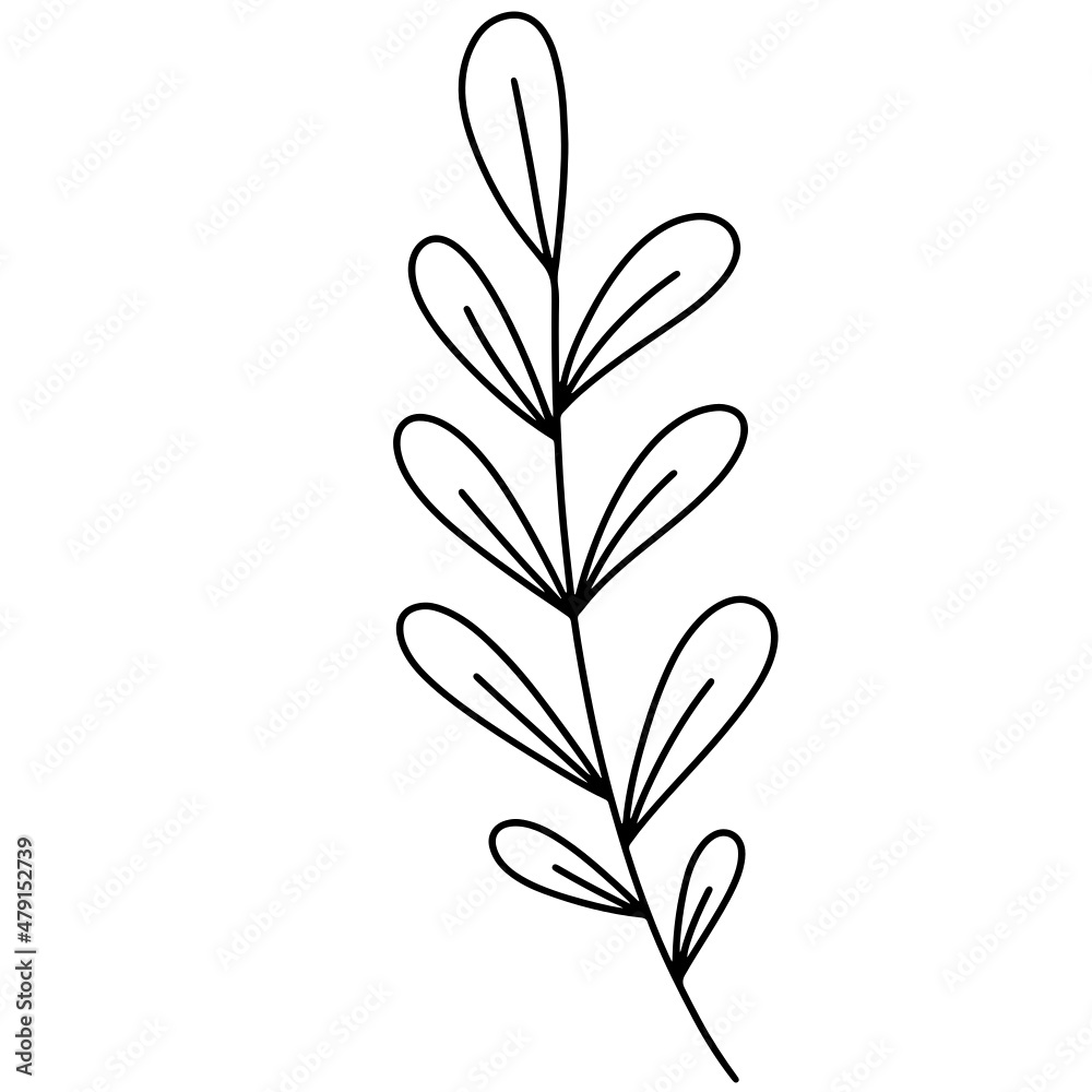 Leaf vector, leaf illustration, plant vector