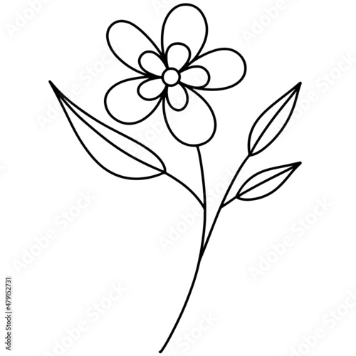 Flower vector  floral vector illustration  flower line art