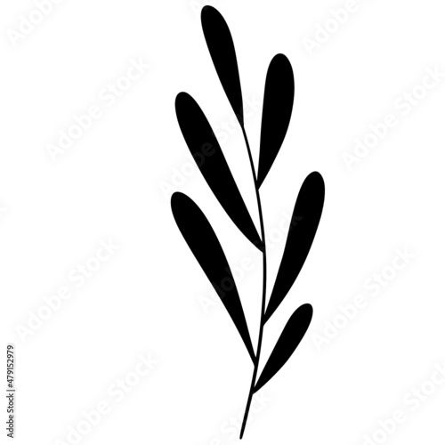 Leaf vector, leaf illustration, plant vector © Andrea