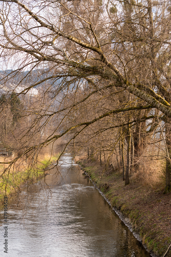 Small river flows through the nature in Vaduz in Liechtenstein Small river flows through the nature in Vaduz in Liechtenstein