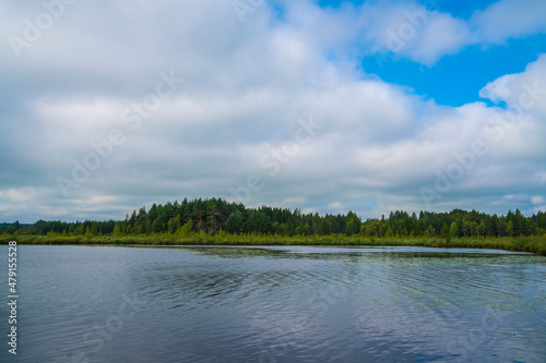 Green grassland nature landscape and conifer forest trees at lakeshore behind water of a small pond in germany