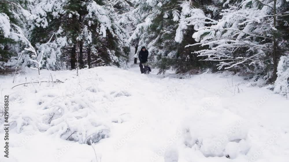 Dad sledding his son at a ski resort in a snow-covered winter forest, slow motion shooting.