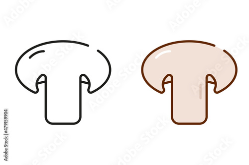Champignon icon isolated on white background. Black linear and colorful champignons icons set. Vector illustration