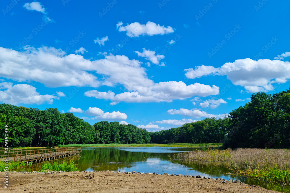 Beautiful picturesque view of the lake on a sunny day.