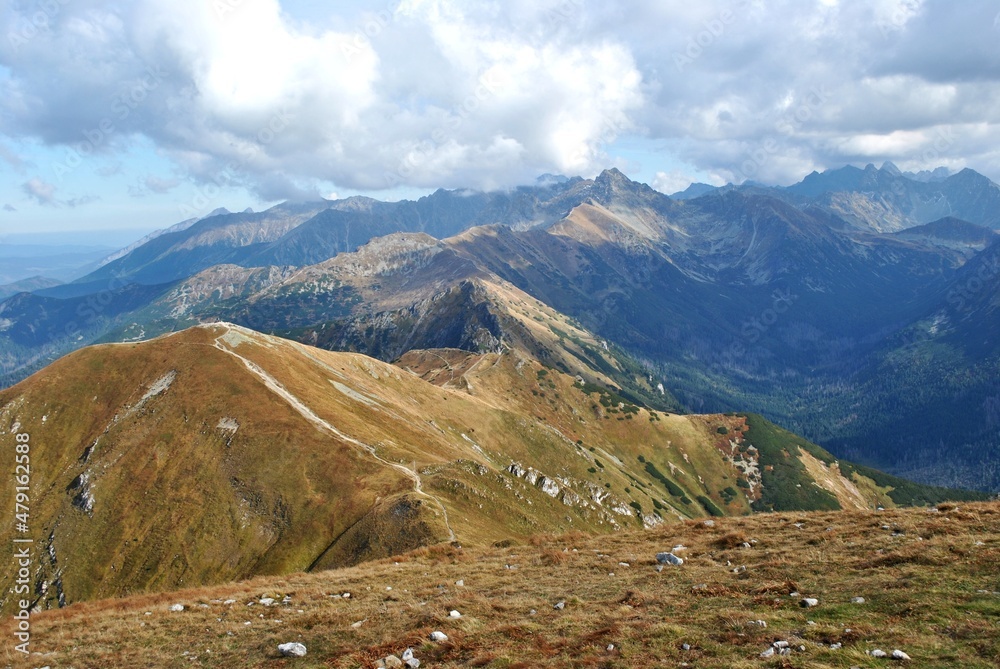 Beautiful mountain landscape. A trail leading through the Tatra National Park.