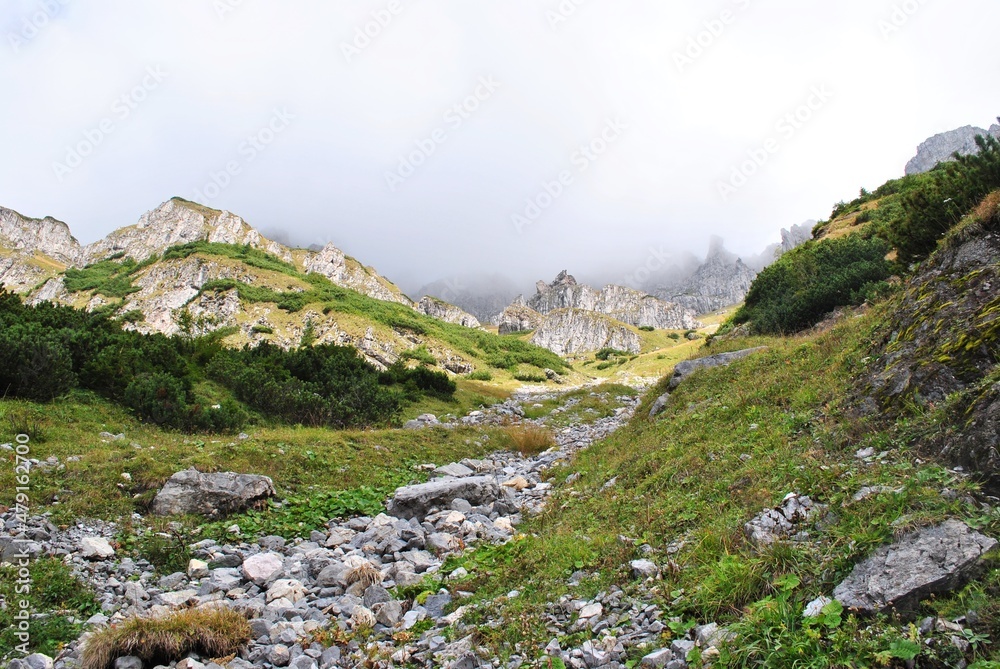 Obraz premium Beautiful mountain landscape. A trail leading through the Tatra National Park.