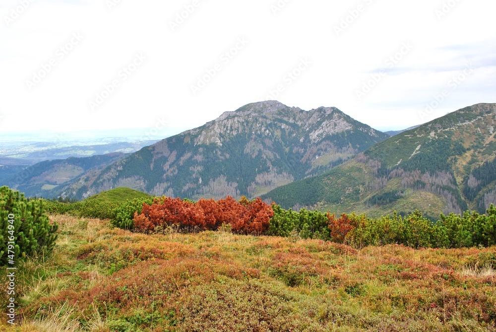 Beautiful mountain landscape. A trail leading through the Tatra National Park. Beautiful mountain landscape. A trail leading through the Tatra National Park.