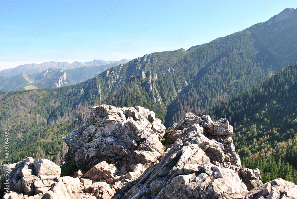Beautiful mountain landscape. A trail leading through the Tatra National Park. Beautiful mountain landscape. A trail leading through the Tatra National Park.