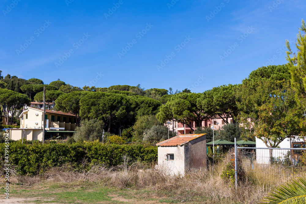 Dilapidated houses under umbrella pines in the small coastal town of Procchio on the island of Elba in Italy under a bright blue summer sky Dilapidated houses under umbrella pines in the small coastal town of Procchio on the island of Elba in Italy under a bright blue summer sky