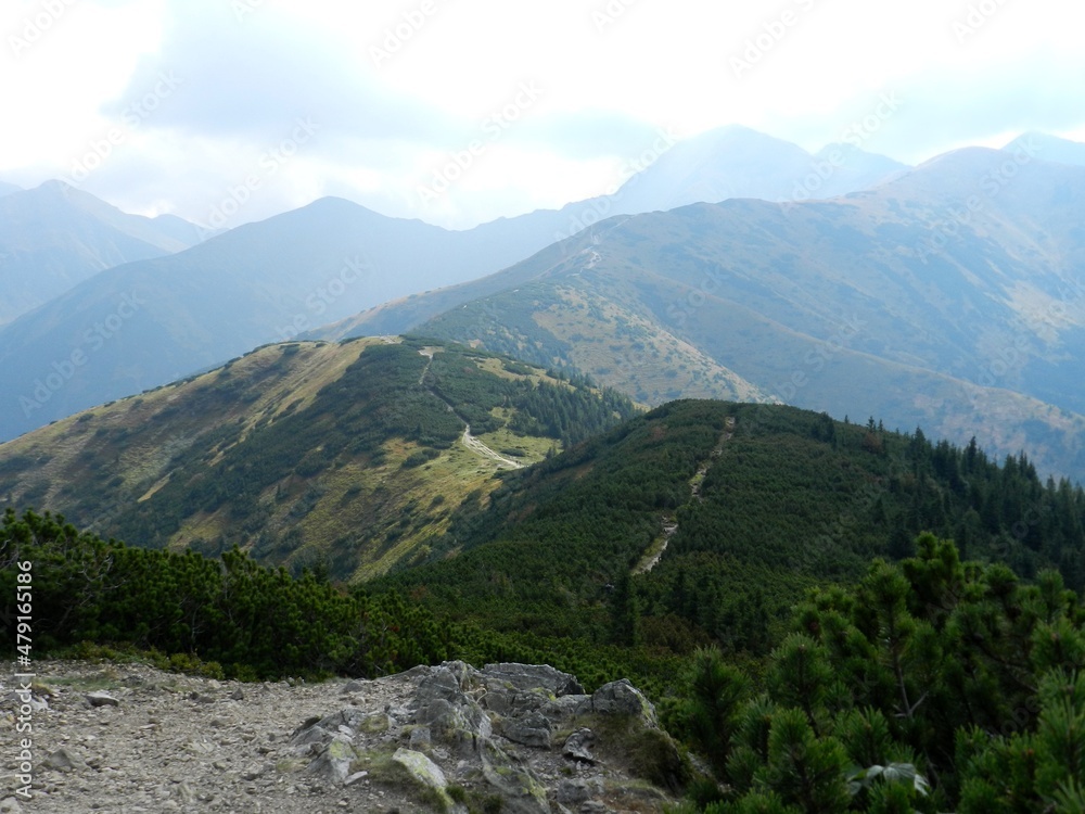 Beautiful mountain landscape. A trail leading through the Tatra National Park.