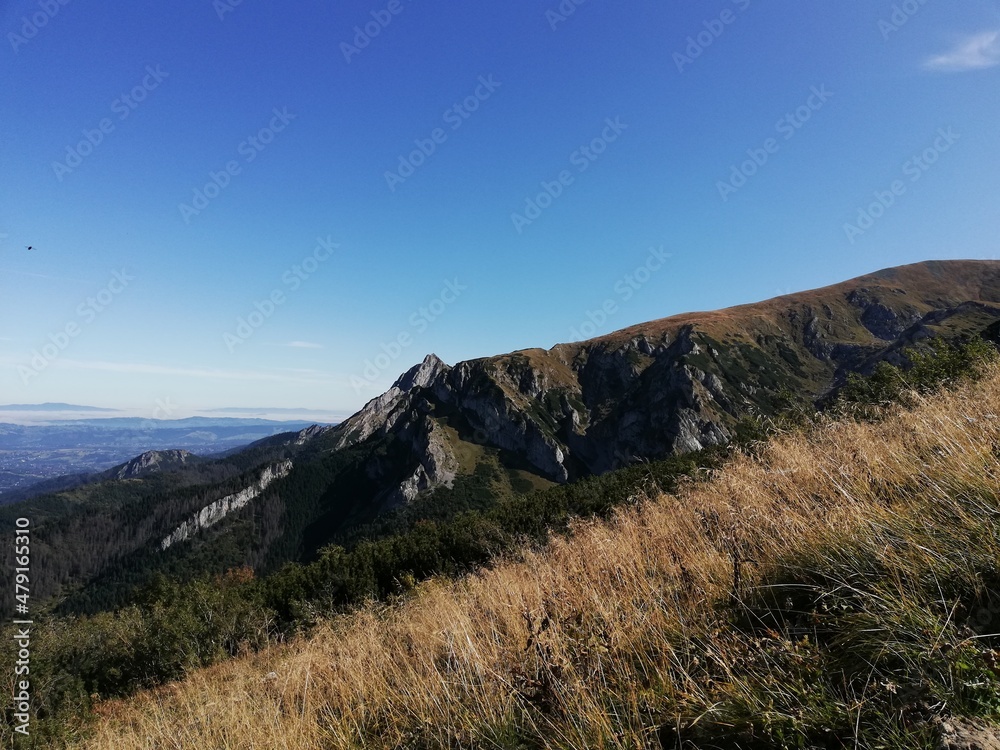 Beautiful mountain landscape. A trail leading through the Tatra National Park.