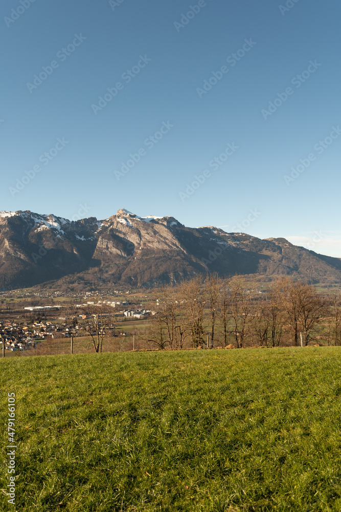 View over the rhine valley from Schellenberg in Liechtenstein