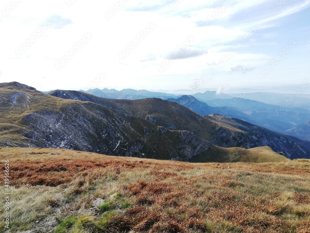 Beautiful mountain landscape. A trail leading through the Tatra National Park.