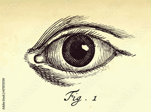 Vector human eye illustration in vintage etching halftone style.
