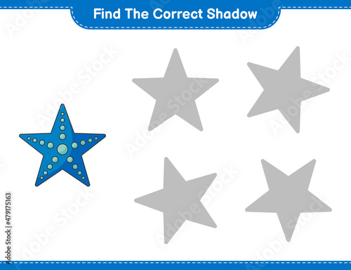 Find the correct shadow. Find and match the correct shadow of Starfish. Educational children game, printable worksheet, vector illustration