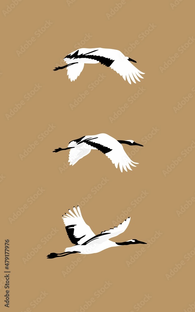 날개를 펴고 날아가는 세 마리의 학 Stock Vector | Adobe Stock