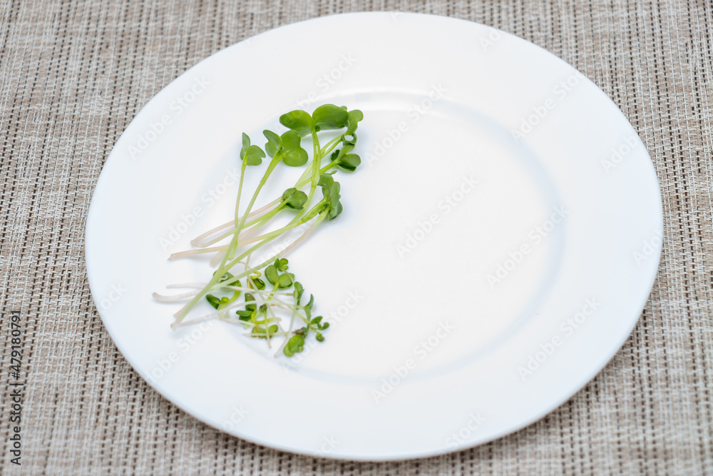 White plate with microgreen sprouts on the dining table. Green sprouts of radish and mustard, close-up with selective focus, copy space. Healthy food concept White plate with microgreen sprouts on the dining table. Green sprouts of radish and mustard, close-up with selective focus, copy space. Healthy food concept