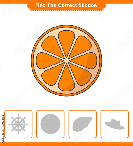Find the correct shadow. Find and match the correct shadow of Orange. Educational children game, printable worksheet, vector illustration