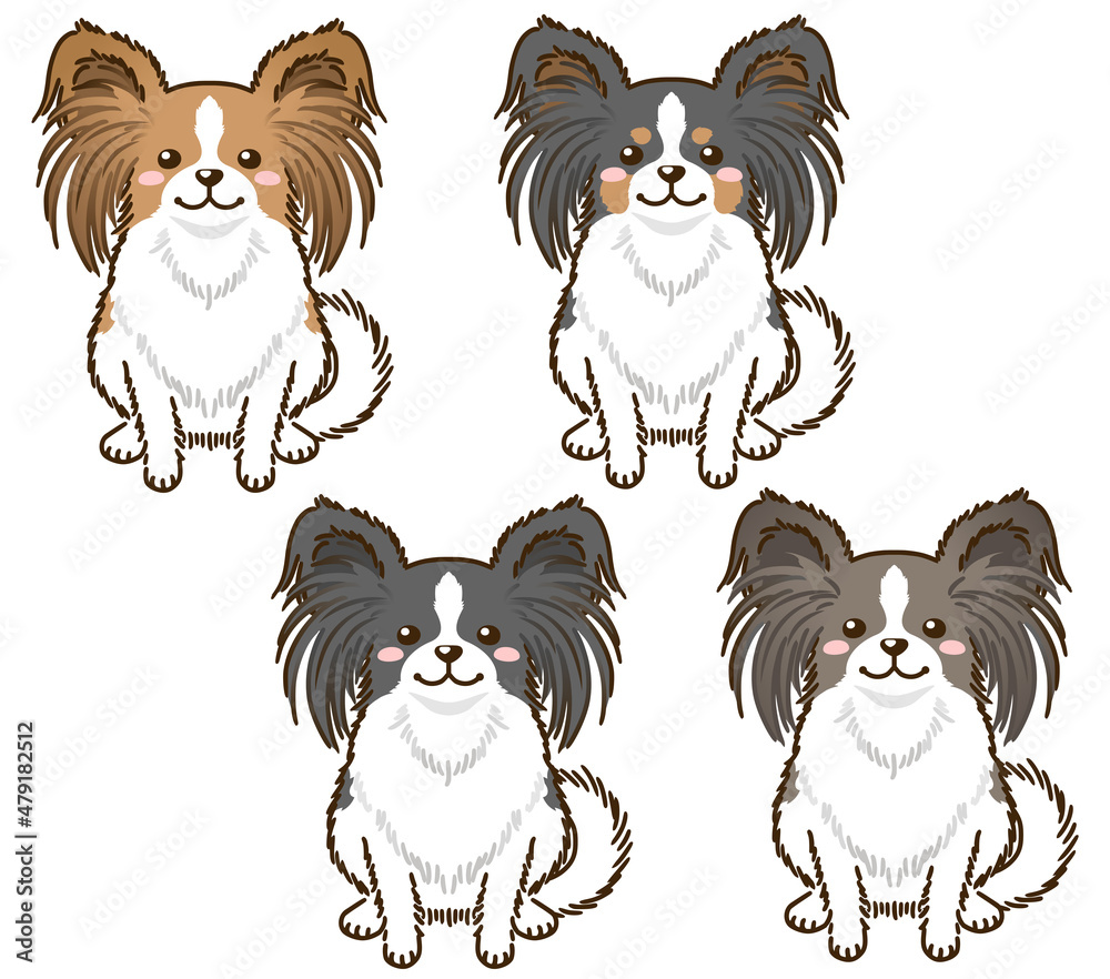 色々な毛色のパピヨン 色々な毛色のパピヨン