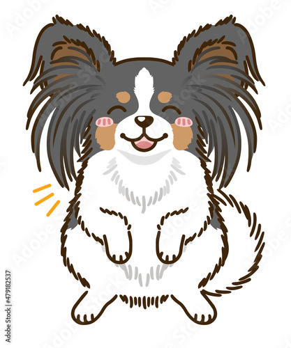 喜ぶパピヨン（トライカラー）
