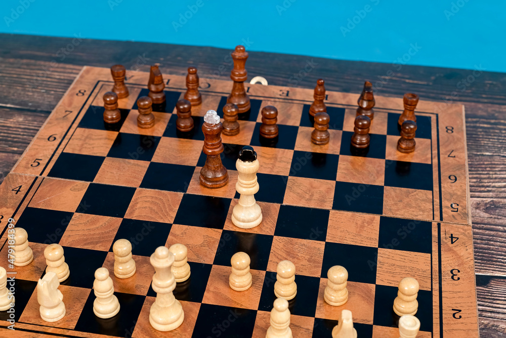 On a chessboard, two different warring kings stand together.