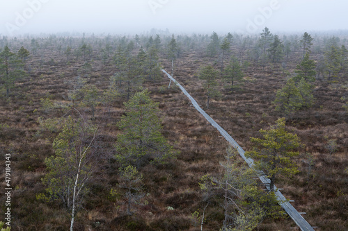 Foggy Morning in Nigula National Park photo