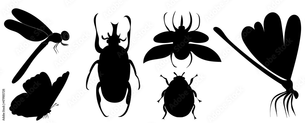 insects, beetle, dragonfly, butterfly set, isolated, vector