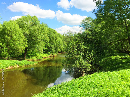 panorama landscape  forest river among green fields on a summer day with stunning white clouds and blue sky  day or dawn in a spring field with green grass  path  clear sky. The sun leaves deep