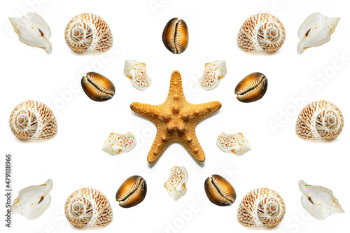  Seashells isolated on white background
